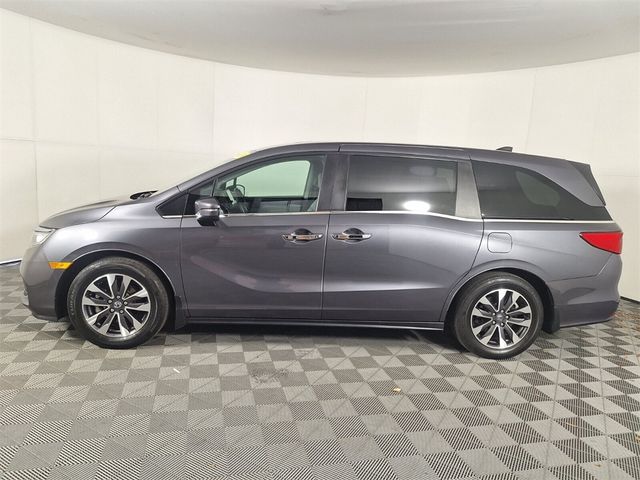 2024 Honda Odyssey EX-L