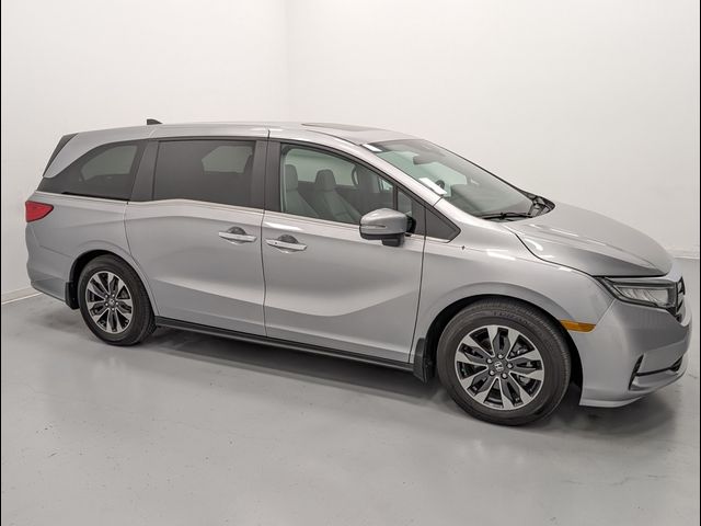 2024 Honda Odyssey EX-L