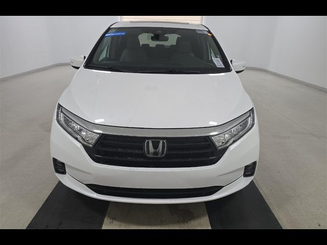 2024 Honda Odyssey EX-L