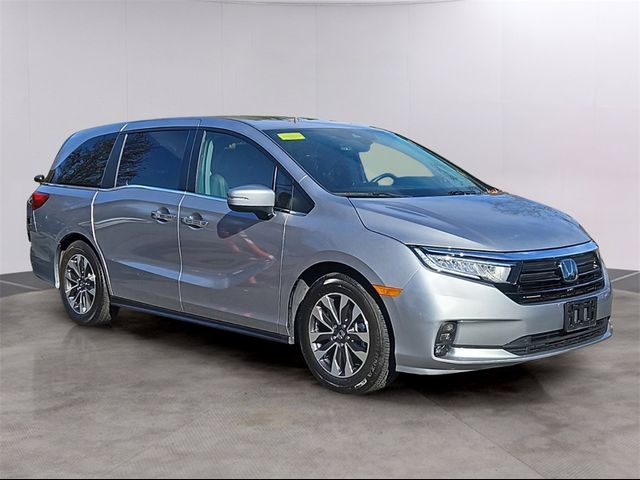 2024 Honda Odyssey EX-L