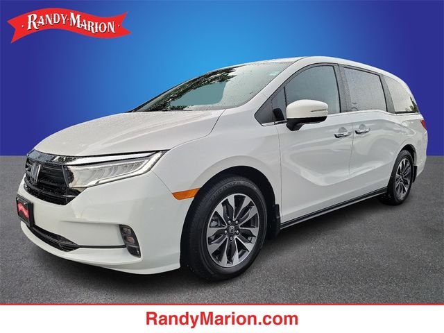 2024 Honda Odyssey EX-L