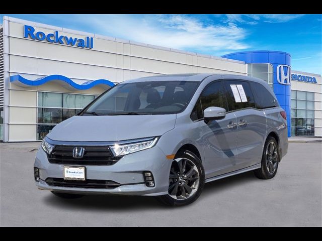 2024 Honda Odyssey Elite