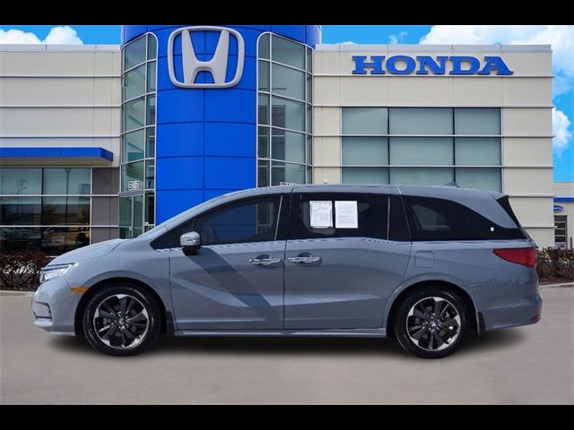 2024 Honda Odyssey Elite