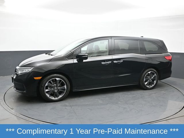 2024 Honda Odyssey Elite