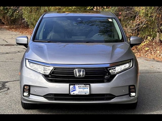 2024 Honda Odyssey Elite