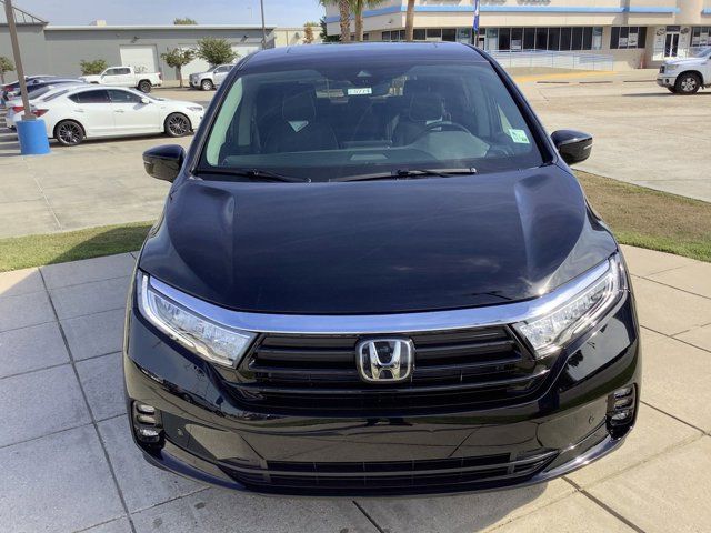 2024 Honda Odyssey Elite