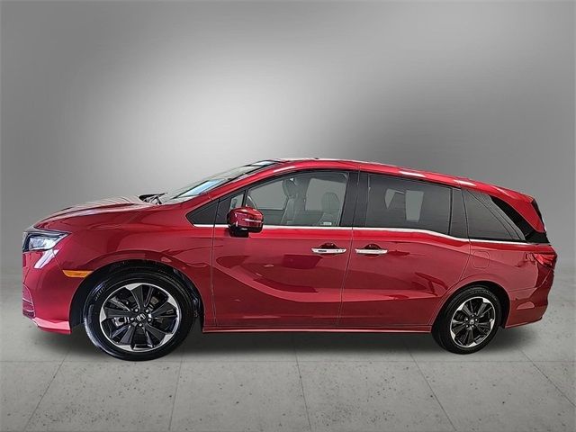 2024 Honda Odyssey Elite