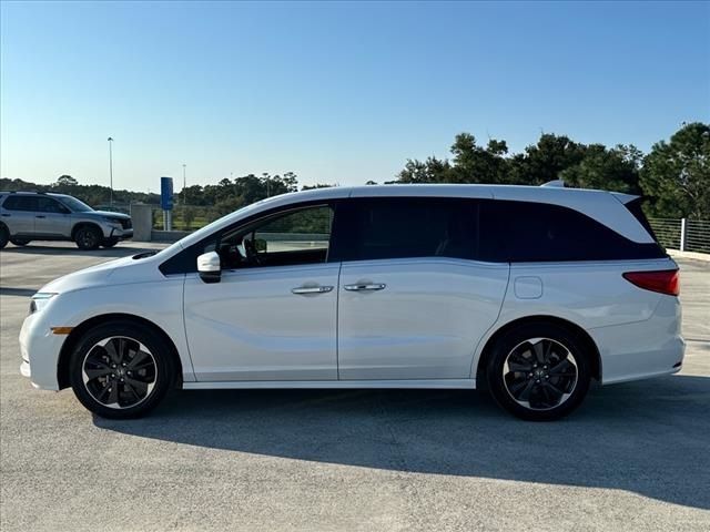 2024 Honda Odyssey Elite