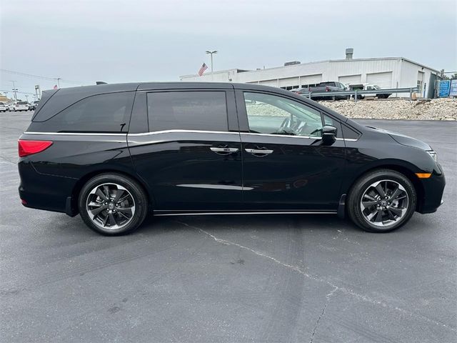 2024 Honda Odyssey Elite