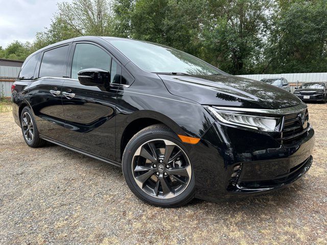 2024 Honda Odyssey Elite