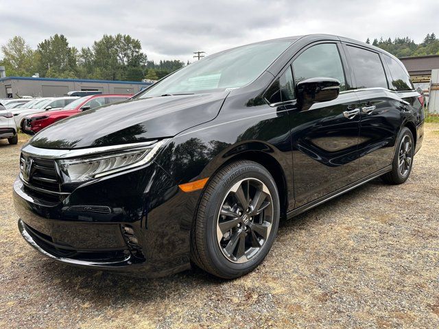 2024 Honda Odyssey Elite