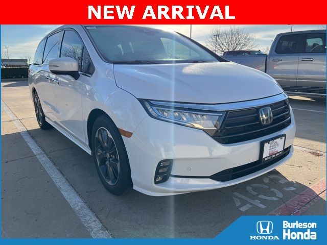 2024 Honda Odyssey Elite