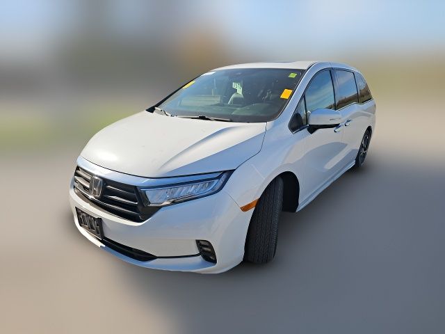 2024 Honda Odyssey Elite