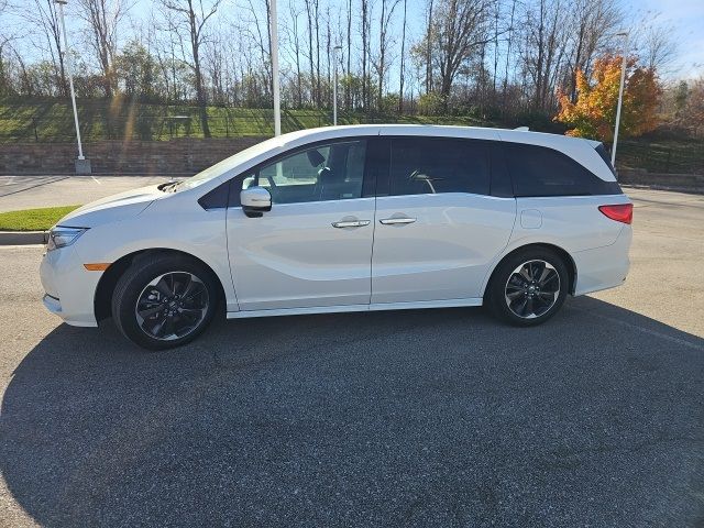 2024 Honda Odyssey Elite