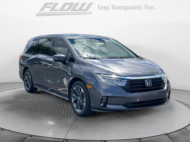 2024 Honda Odyssey Elite