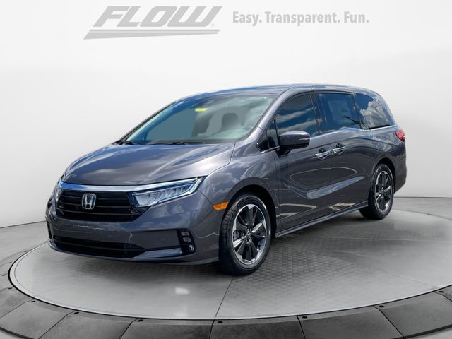 2024 Honda Odyssey Elite