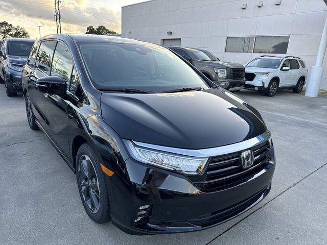 2024 Honda Odyssey Elite