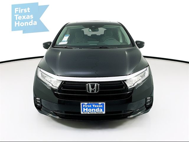 2024 Honda Odyssey Elite