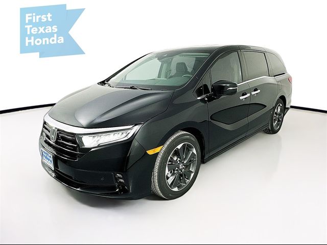 2024 Honda Odyssey Elite