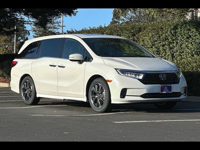 2024 Honda Odyssey Elite