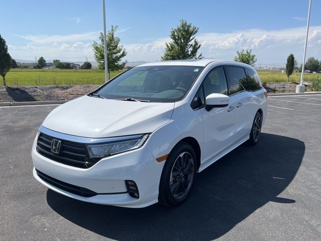 2024 Honda Odyssey Elite