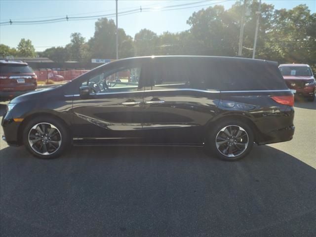 2024 Honda Odyssey Elite