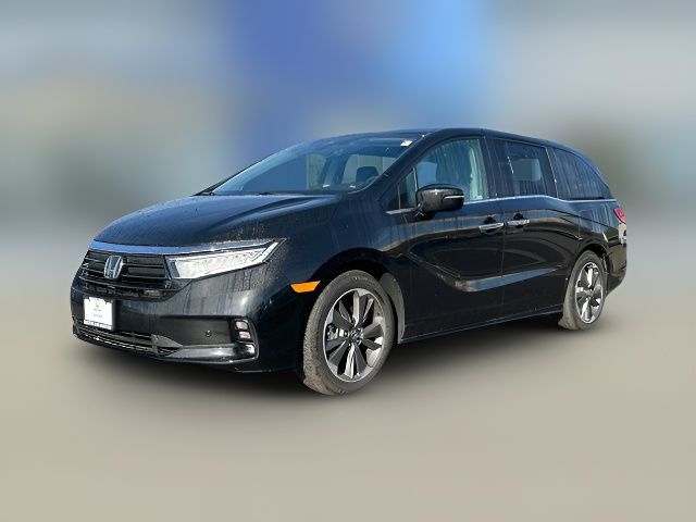 2024 Honda Odyssey Elite