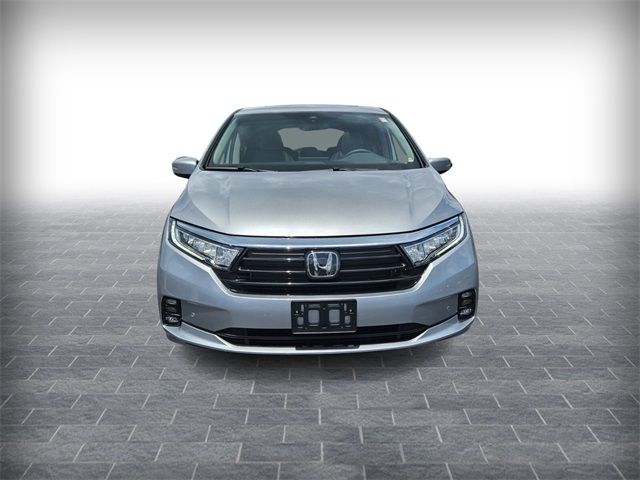 2024 Honda Odyssey Elite