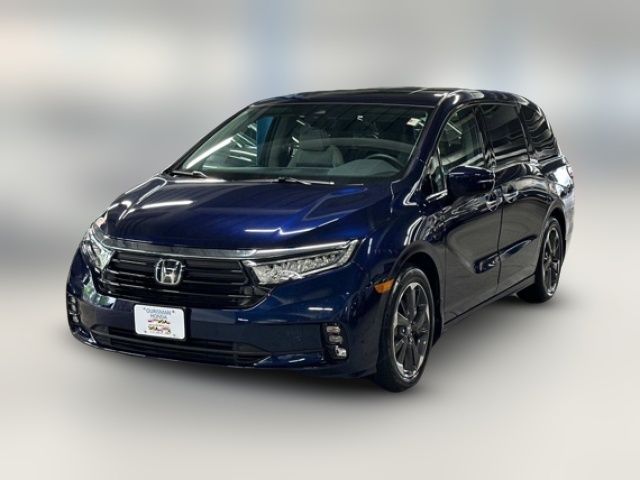 2024 Honda Odyssey Elite