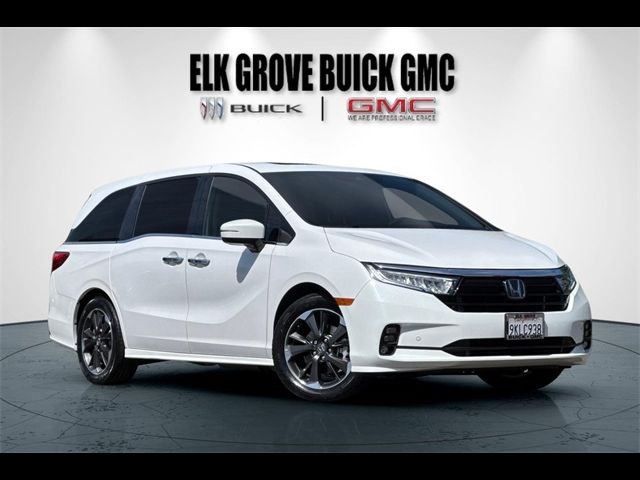 2024 Honda Odyssey Elite