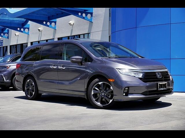 2024 Honda Odyssey Elite