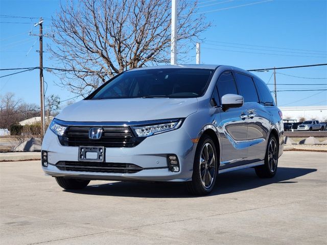 2024 Honda Odyssey Elite