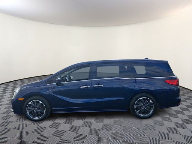 2024 Honda Odyssey Elite