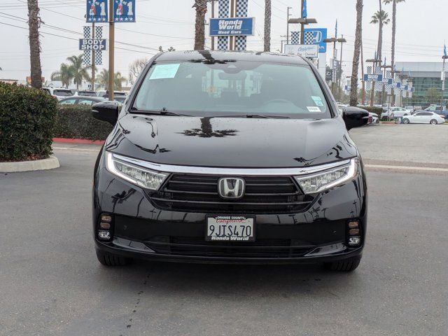 2024 Honda Odyssey Elite