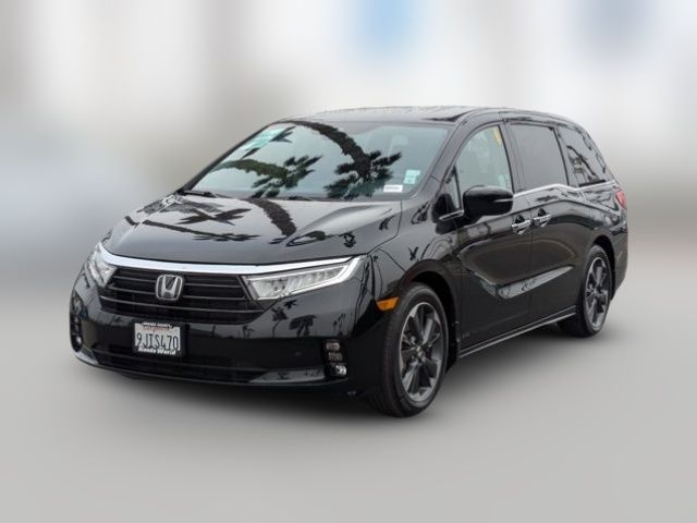 2024 Honda Odyssey Elite