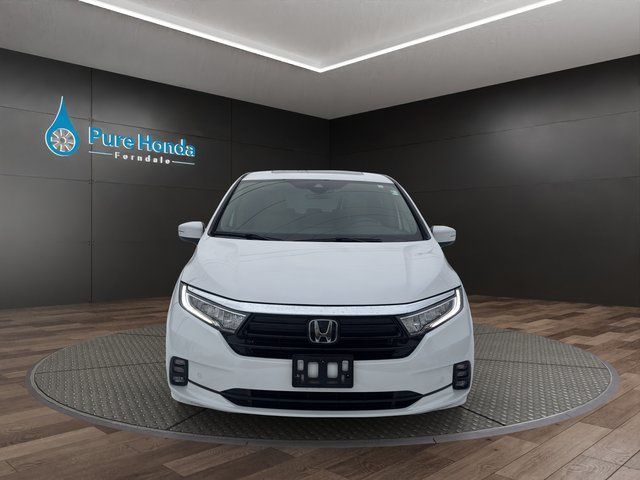 2024 Honda Odyssey Elite