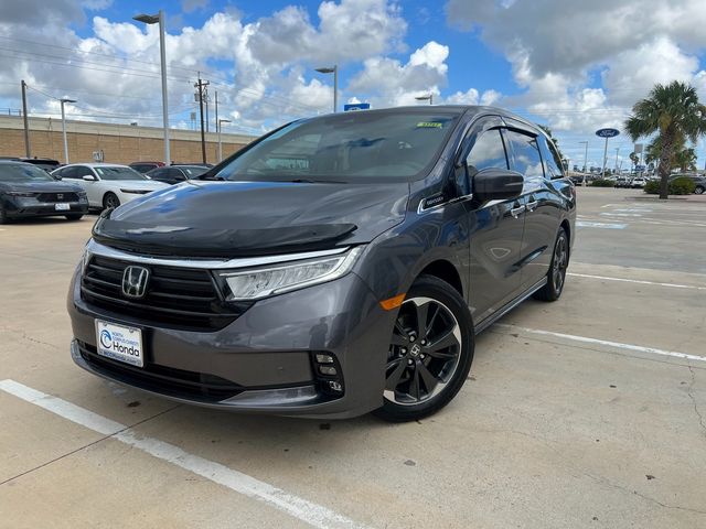 2024 Honda Odyssey Elite