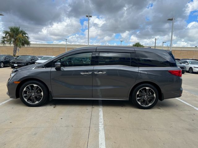 2024 Honda Odyssey Elite