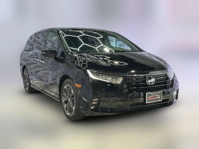 2024 Honda Odyssey Elite