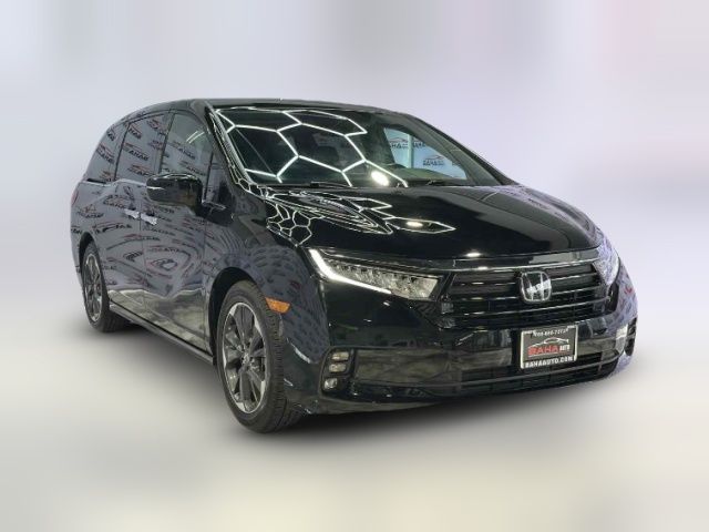 2024 Honda Odyssey Elite