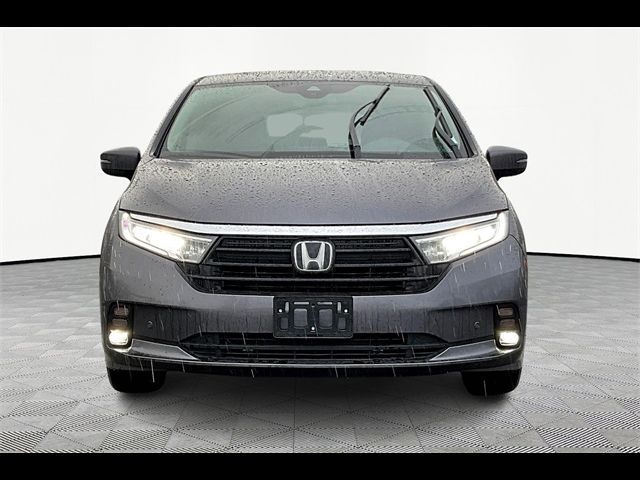 2024 Honda Odyssey Elite