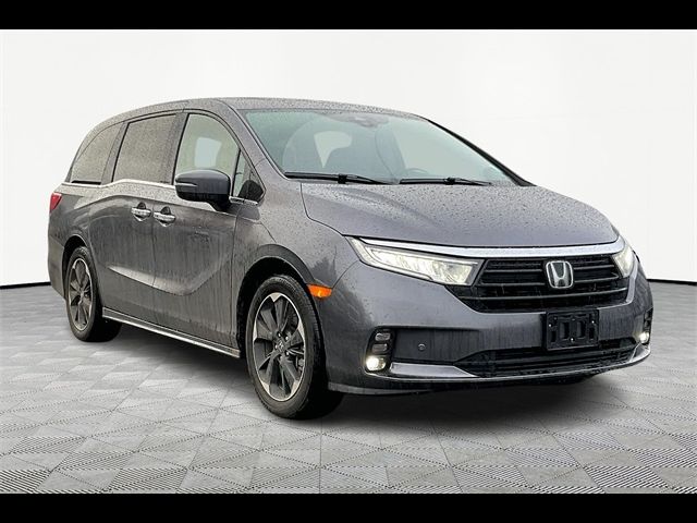 2024 Honda Odyssey Elite