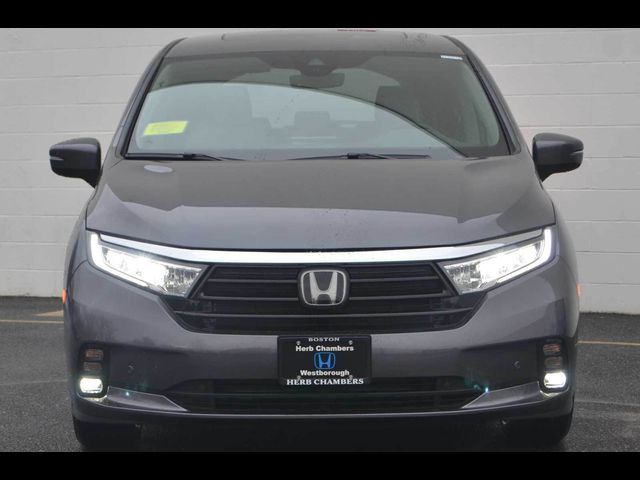 2024 Honda Odyssey Elite