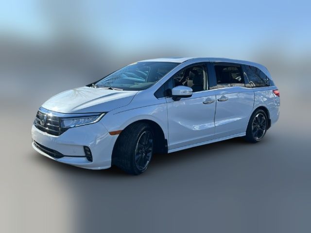 2024 Honda Odyssey Elite