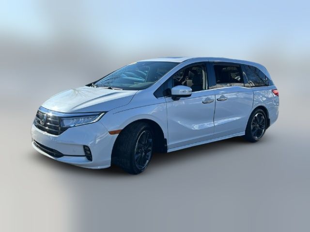 2024 Honda Odyssey Elite