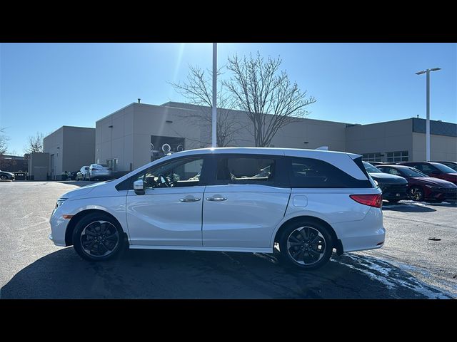 2024 Honda Odyssey Elite