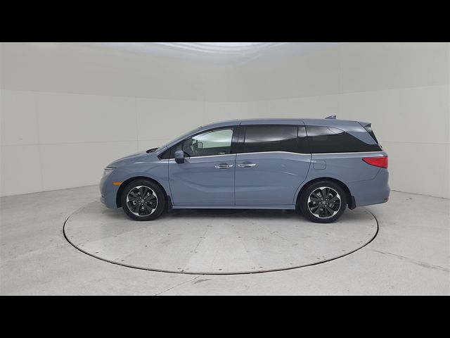 2024 Honda Odyssey Elite