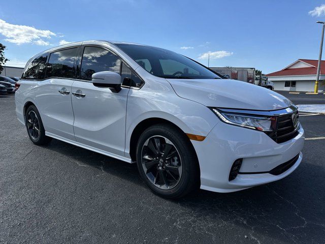 2024 Honda Odyssey Elite