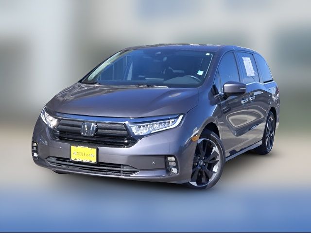 2024 Honda Odyssey Elite