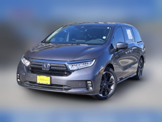 2024 Honda Odyssey Elite